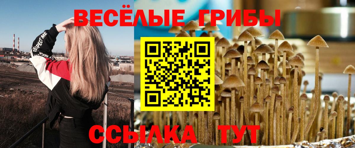 Галлюциногенные грибы GOLDEN TEACHER Елабуга