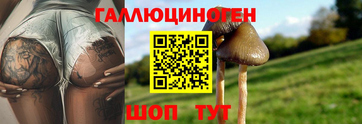 магазин    Вход с VPN  Псилоцибиновые грибы мухоморы  Елабуга  Псилоцибиновые грибы прущие грибы 